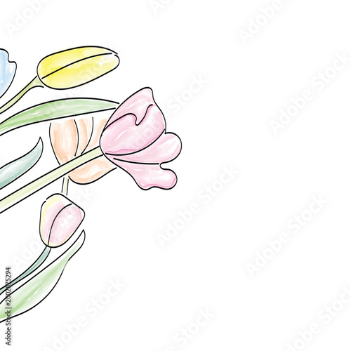 Elegant line art illustration of colorful tulips in soft pastel shades including pink, yellow, blue and peach. Minimalist floral drawing with clean outlines on white background. Perfect for spring.