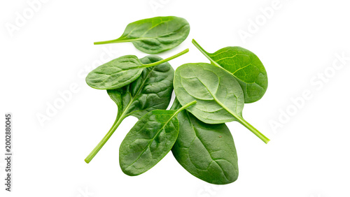 Bild auf Leinwand Fresh spinach leaves arranged on a white background for display in a food contex