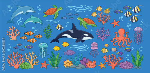 Underwater marine life vector background featuring orca whale dolphins sea turtles octopus jellyfish tropical fish and colorful coral reef elements.