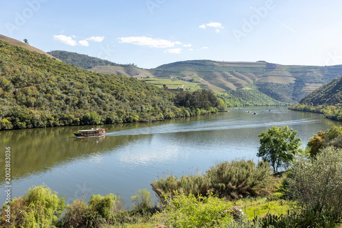 Valokuva Douro river rabelo boat cruising through vineyards