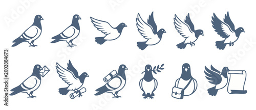 Pigeon bird icon set, flying dove silhouettes and carrier pigeons delivering mail, peace symbols and messenger birds with scroll, vector collection of isolated avian graphic elements in flat design st