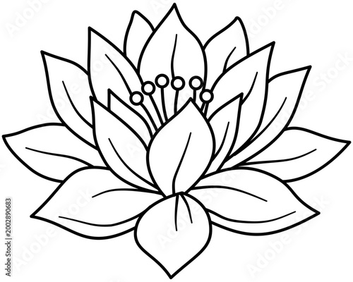 Foto Lotus flower blossom line art illustration, hand drawn botanical nelumbo floral