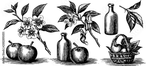 Apple blossoms and fruit with bottle and basket arrangement