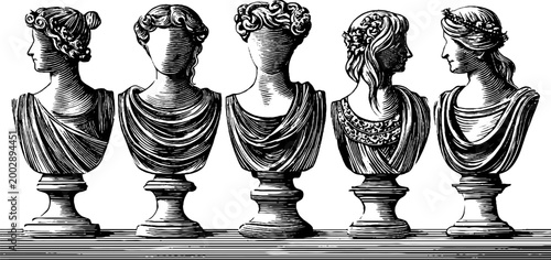 Series of classical female busts lined on plinth shelf