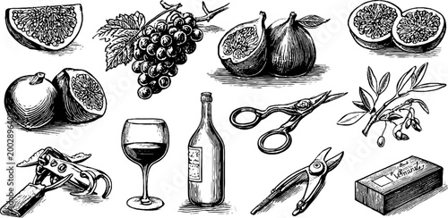 Wine bottle and glass surrounded by fruit and tools