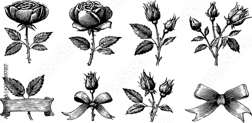 Rose buds, blossoms and ribbon elements displayed on white backdrop