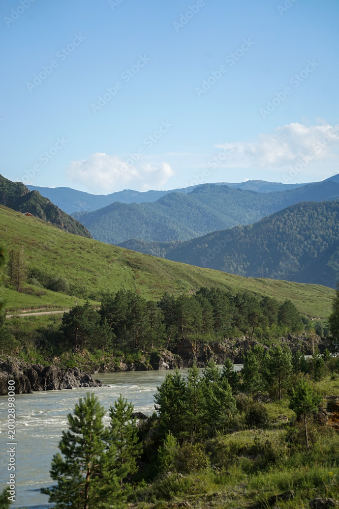 Fototapeta premium The beautiful nature of Altai from a bird's eye view, a river with a view of the mountains