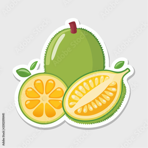 Illustration of a Jackfruit and its cross-sections