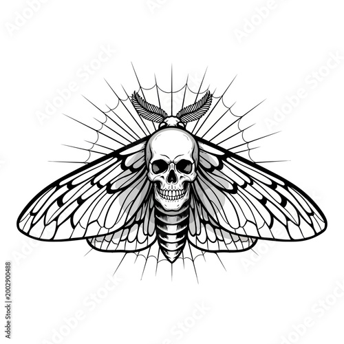 Gothic Skull Moth with Spiderweb Background - Dark Fantasy Insect Art