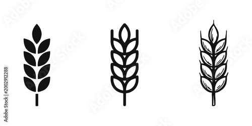 Wheat grain ear icon set. Agriculture, harvest and organic food symbols in different styles.