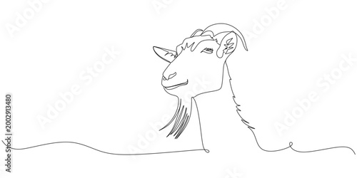continuous line illustration of a goat's head