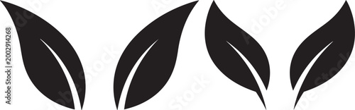 Four stylized black leaves icon with vegetation seasonal environment botanical minimalist illustration collection isolated