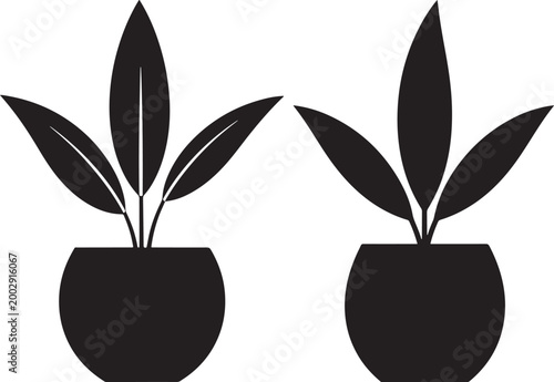 Two potted plants with spiky leaves in black and white potted plant indoor plant line art home decor houseplant illustration greenery monochrome decoration minimalist botanical decorative