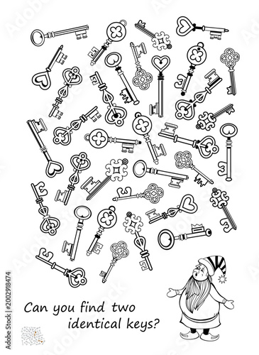 Can you find two identical keys? Hand drawn vector illustration. Logic puzzle for children and adults. Game Seek and Find. Brain teaser book. Task for attentiveness IQ test. Black and white drawing.