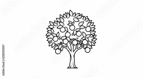 Simple line art of a deciduous tree laden with round fruits