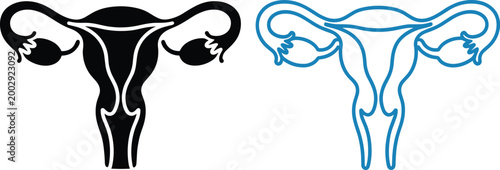 Human female reproductive system uterus and ovaries icon set representing gynecology anatomy women health medical education and fertility vector