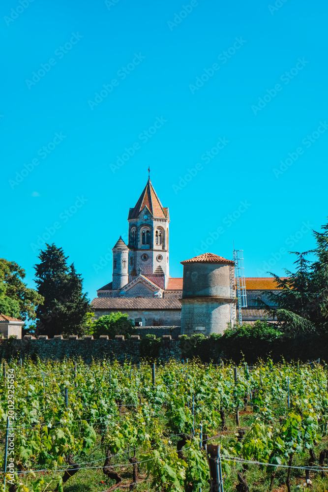 Fototapeta premium the bell tower of the Lerins Abbey above vineyards