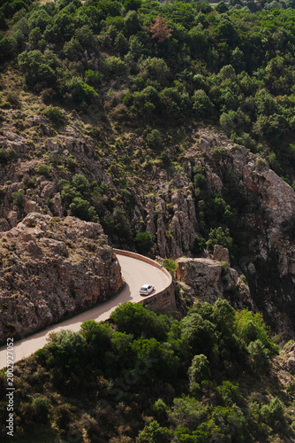 Driving around Corsica, through the beautiful green mountain nature.
