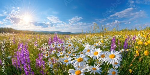 Sunlit meadow brimming with vibrant wildflowers under a clear blue sky