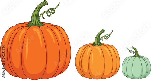 Pumpkin set with different sizes and colors including orange and green squash autumn harvest vegetable vector illustration collection