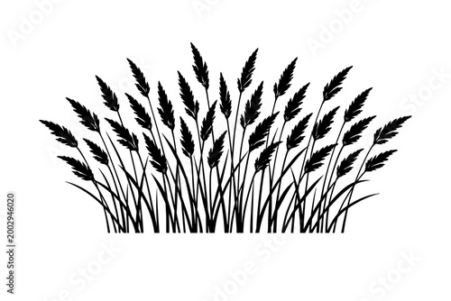 Black Silhouette of Tall Grasses Swaying in the Wind, Evoking a Sense of Nature's Serenity and the Beauty of Wild Vegetation
