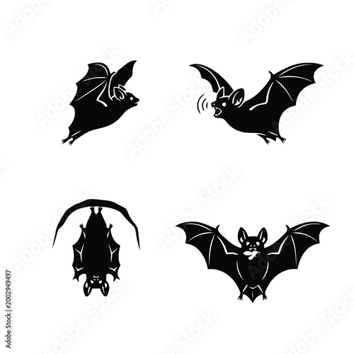 Valokuva Set of four black bat silhouettes in various poses: flying, echolocating, hanging, and catching a fish, suitable for nature and Halloween designs