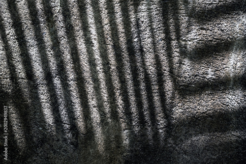 Sharp shadow of a palm tree leaf on a vertical concrete fence under direct sunlight