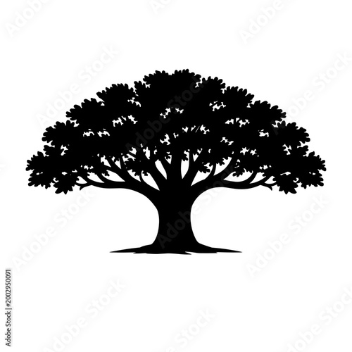 Elegant Silhouette of a Majestic Oak Tree, Symbolizing Strength, Longevity, and the Beauty of Nature's Grandeur in a Timeless Design