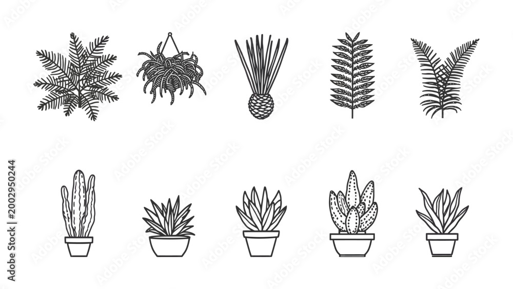 Fototapeta premium Botanical Array: A meticulously rendered line art illustration showcasing an assortment of diverse plant specimens, ideal for botanical studies or graphic design projects.