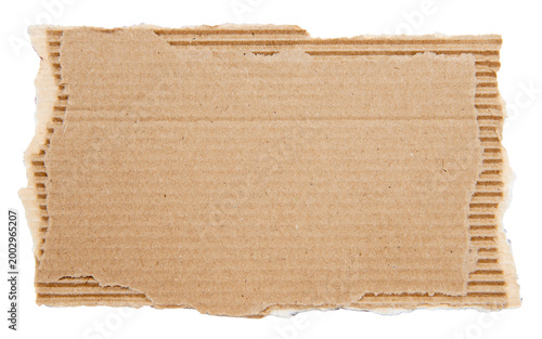 Piece of torn cardboard on a white background. Torn cardboard isolate