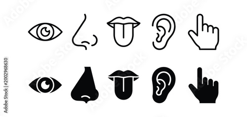 Human Sense Organs 10 Icons Set Line and Glyph Style — Eye, Nose, Mouth, Ear and Hand Gesture Medical Vector Collection