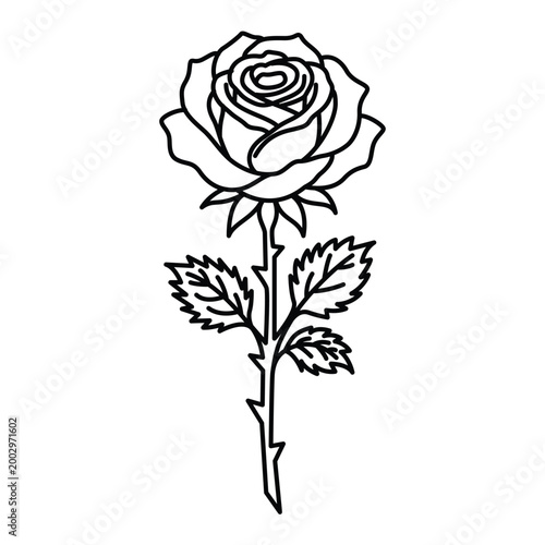 Classic Blooming Rose Outline Vector Floral Line Art with Leaves Isolated on White Background