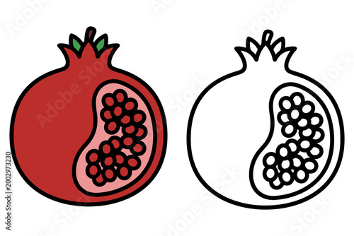 Ripe red pomegranate fruit with visible seeds pomegranate nutrition vitamins botanical