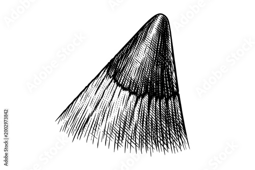 Fotografia Illustration of a pointed cone shape with textured lines radiating outwards blac