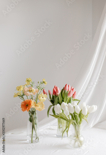 Two Glass Vases Spring Flowers Poppies and Tulips White Interior