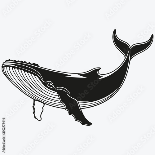 Whale logo sketch illustration vector