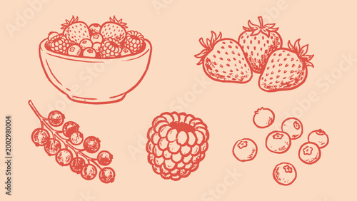 Vintage linocut illustration of a berry collection including strawberries raspberries and blueberries on peach background