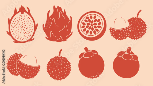 Minimalist vector illustration of tropical fruit icons including dragon fruit and mangosteen isolated on peach background