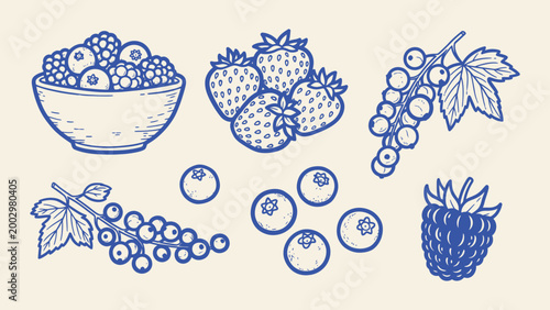 Hand drawn berry illustrations of strawberries blueberries and raspberries vector line art isolated on cream background