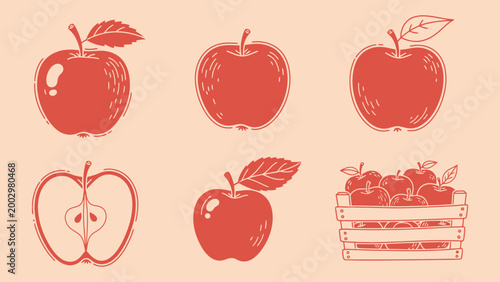 Red apple illustrations including whole fruit, half, and crate isolated on cream background in vintage vector style