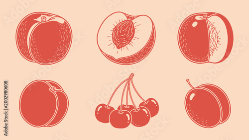 Vintage hand drawn linocut illustration of stone fruits including peach cherry and plum on peach background