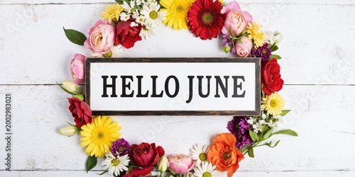 hello june sign