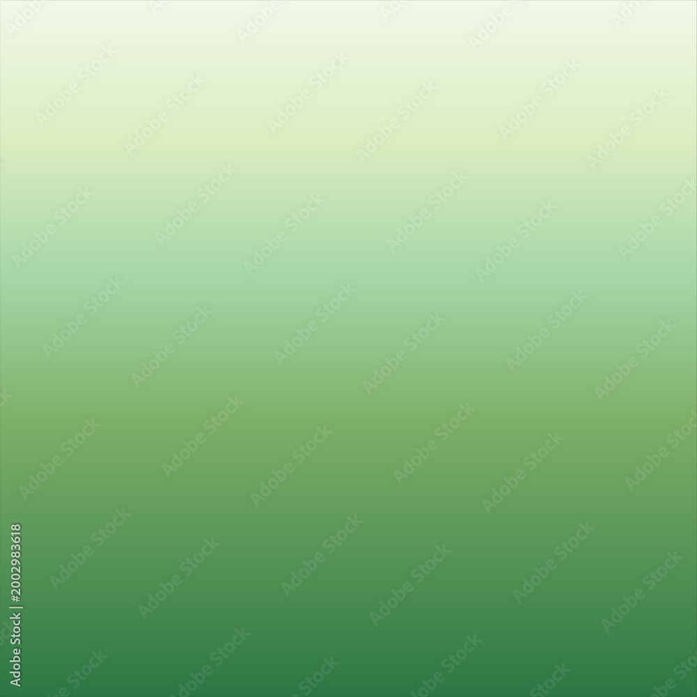 Fototapeta premium Forest mist background