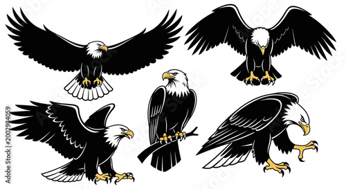 Majestic Bald Eagles Collection: Diverse Poses, Symbol of Freedom and Power