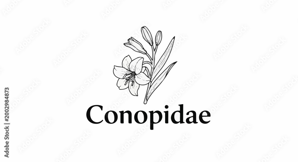Fototapeta premium Delicate line drawing of a blooming flower and buds above bold text