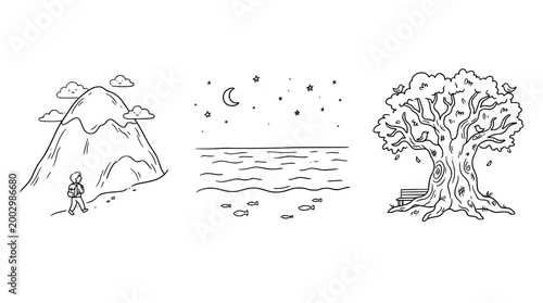 Hiker Exploring Nature's Beauty on a Mountain Trail