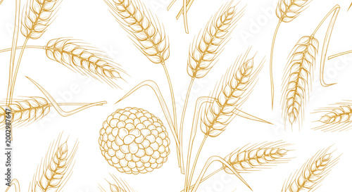 Hand drawn seamless pattern with golden wheat stalks and grains on a white background for bakery and farm product packaging.
