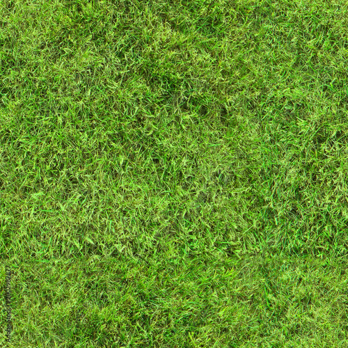 Seamless natural green grass pattern. Realistic garden lawn surface with soft blades. High quality meadow grass texture for architectural visualization and outdoor backgrounds.