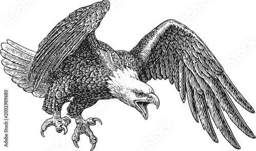 flying eagle with outstretched wings and open beak aggressive bird of prey sketch detailed drawing