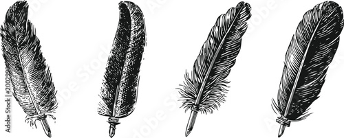 set of detailed vintage feather quills with ink nibs, handcrafted pen illustrations in black and white